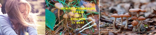 круглые Медногорск