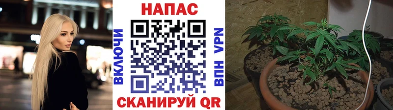 Купить где Кизел Шишки марихуана LSD WEED